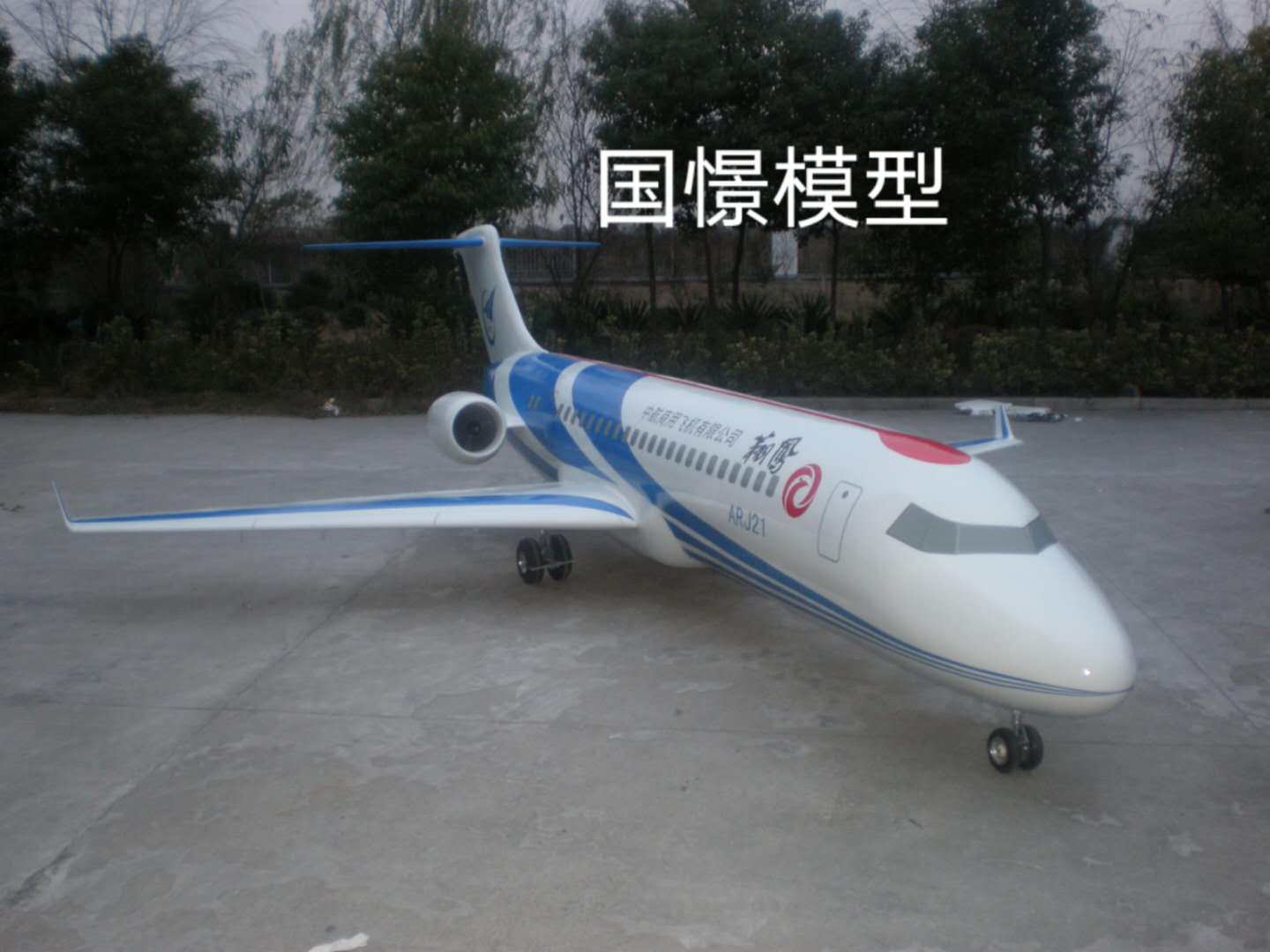 平阴县飞机模型