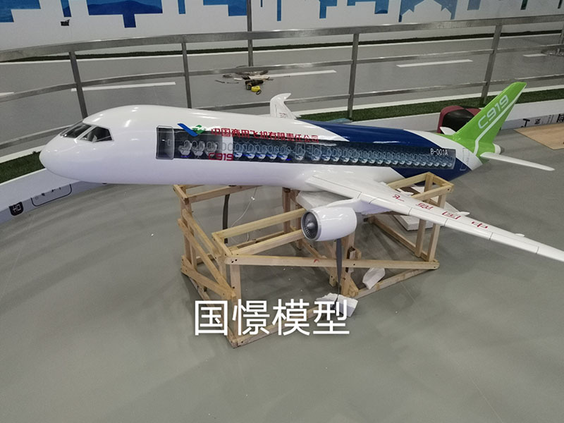 平阴县飞机模型