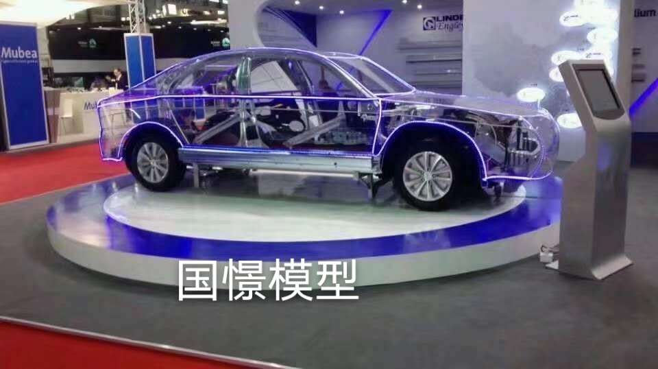 平阴县透明车模型