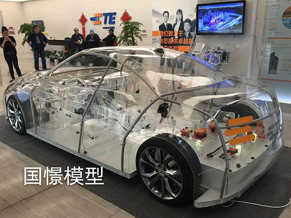 平阴县透明车模型